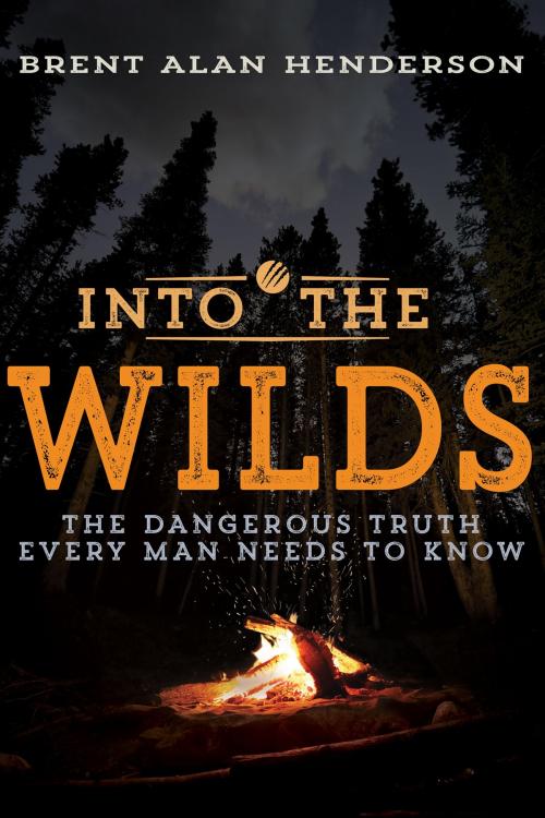 Cover of the book Into the Wilds by Brent Alan Henderson, Whitaker House