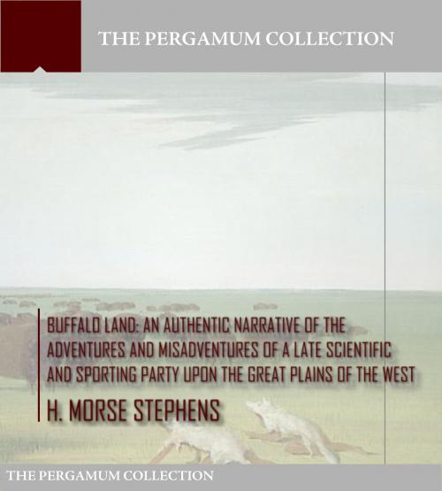 Cover of the book Buffalo Land by H. Morse Stephens, Charles River Editors