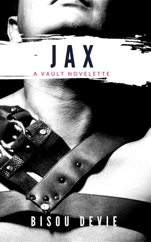 Cover of the book JAX by DeVie Bisou, Little Black Hook