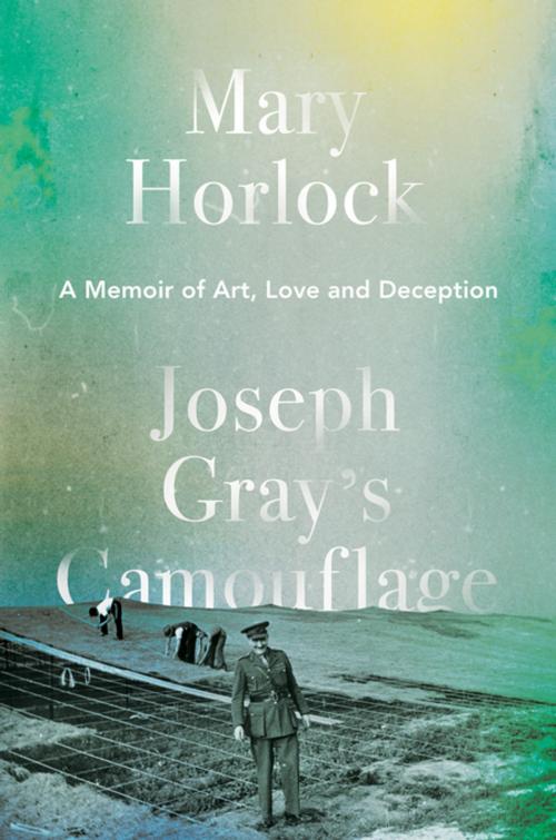 Cover of the book Joseph Gray’s Camouflage by Mary Horlock, Unbound