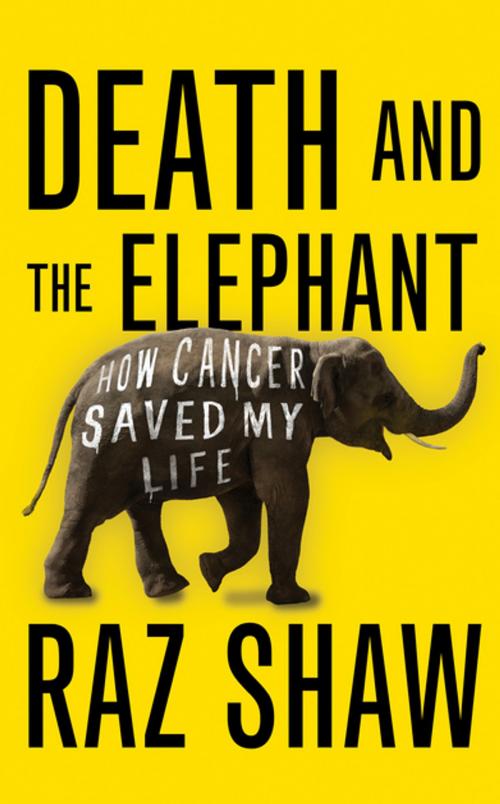 Cover of the book Death and the Elephant by Raz Shaw, Unbound