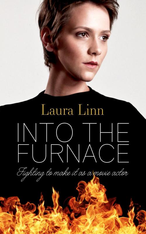Cover of the book Into the Furnace by Laura Linn, Mereo Books
