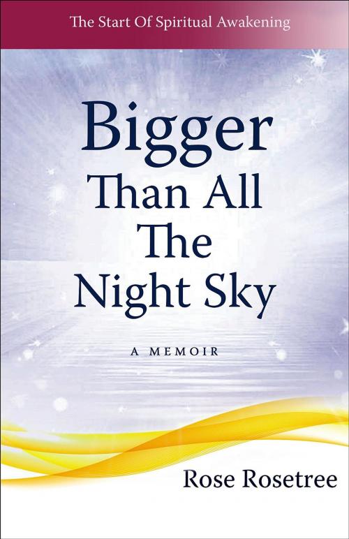 Cover of the book Bigger than All the Night Sky by Rose Rosetree, Women's Intuition Worldwide, LLC