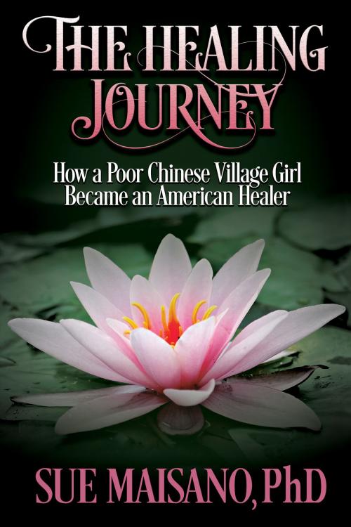 Cover of the book The Healing Journey by Sue Maisano, PhD, Visionary Living, Inc.