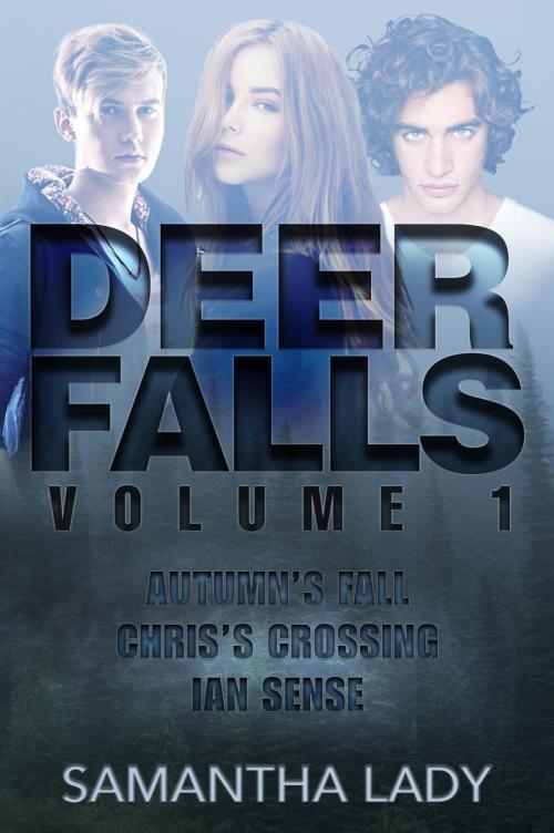 Cover of the book Deer Falls by Samanatha Lady, Christopher Matthews Publishing