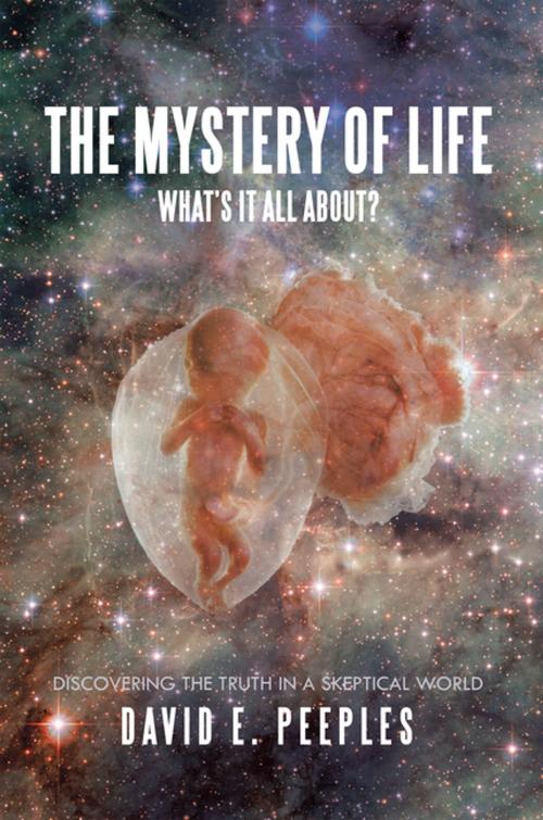 Cover of the book The Mystery of Life What’S It All About? by David E. Peeples, Xlibris US