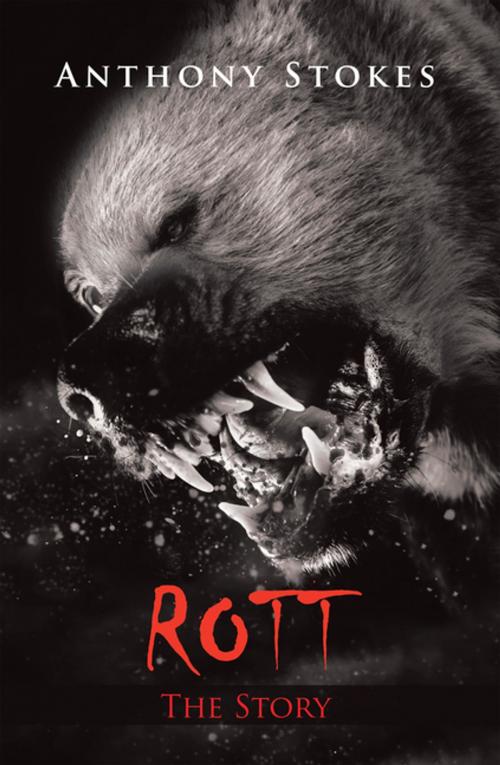 Cover of the book Rott by Anthony Stokes, Xlibris US