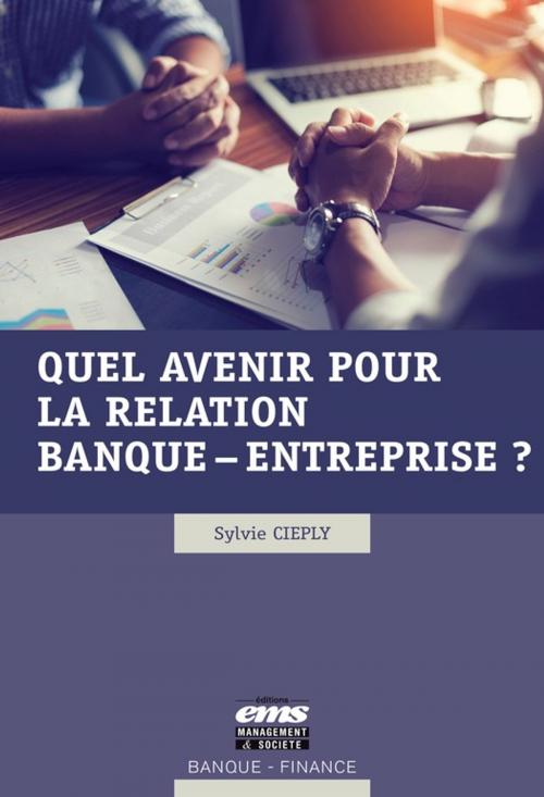 Cover of the book Quel avenir pour la relation banque - entreprise ? by Sylvie Cieply, Éditions EMS