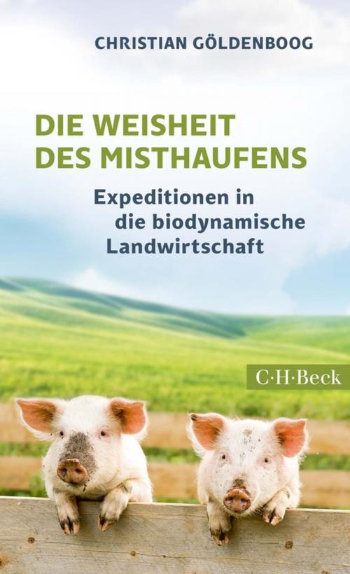 Cover of the book Die Weisheit des Misthaufens by Christian Göldenboog, C.H.Beck