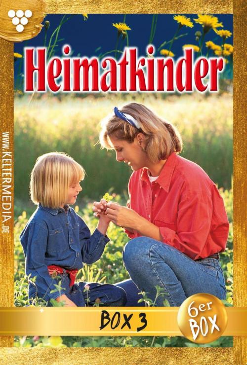 Cover of the book Heimatkinder Jubiläumsbox 3 – Heimatroman by Gisela Heimburg, Verena Kersten, Julia Rothenbücher, Cornelia Waller, Harald M. Wippenbeck, Kelter Media