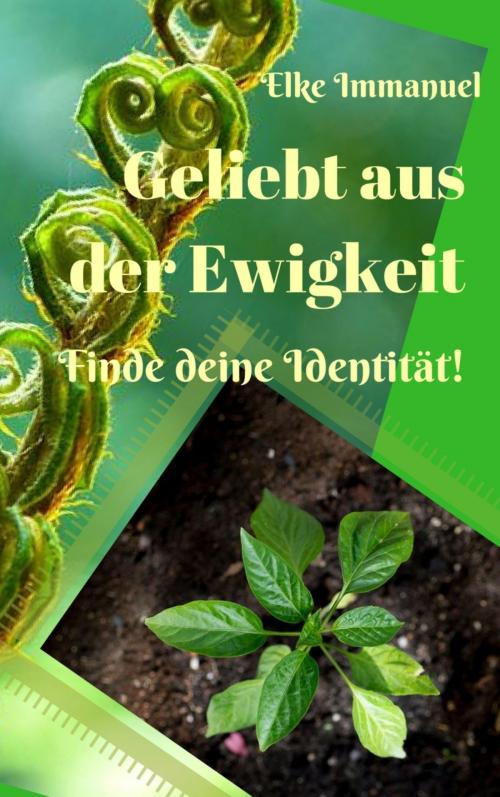 Cover of the book Geliebt aus der Ewigkeit by Elke Immanuel, BookRix