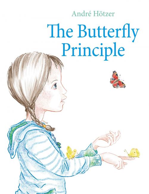 Cover of the book The Butterfly Principle by André Hötzer, Books on Demand
