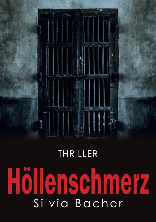 Cover of the book Höllenschmerz by Silvia Bacher, Mitgift Verlag