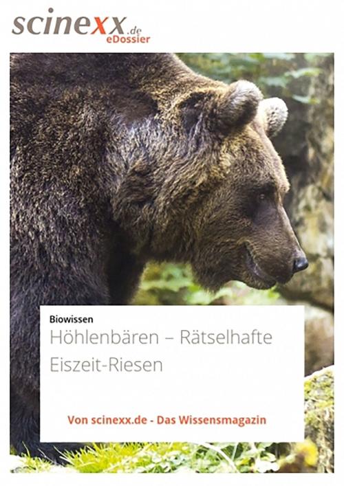 Cover of the book Höhlenbären by Dieter Lohmann, YOUPublish