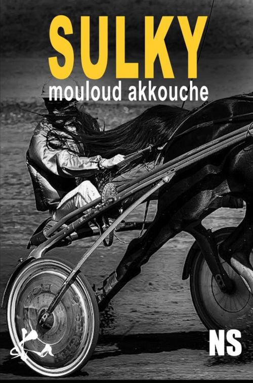 Cover of the book Sulky by Mouloud Akkouche, SKA