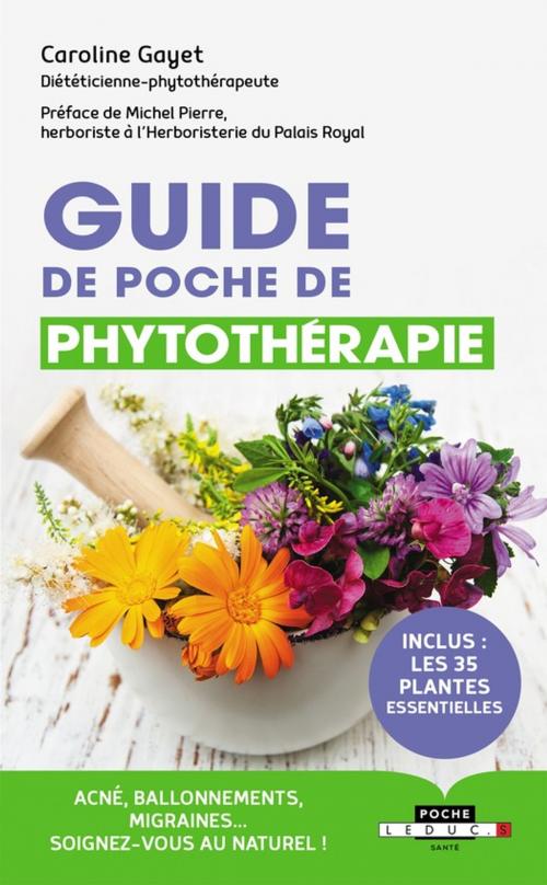 Cover of the book Guide de poche de phytothérapie by Caroline Gayet, Éditions Leduc.s