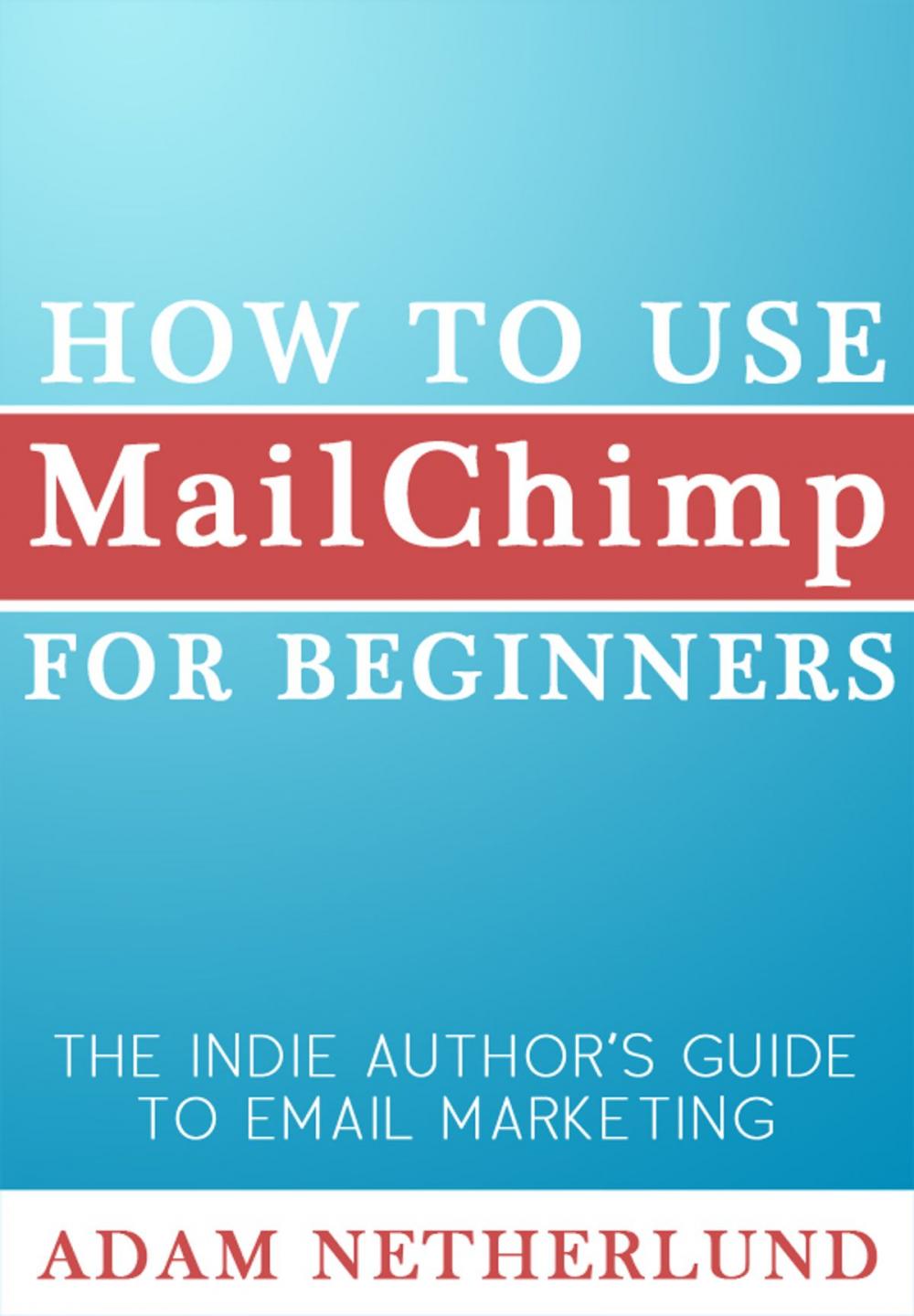 Big bigCover of How to Use MailChimp for Beginners