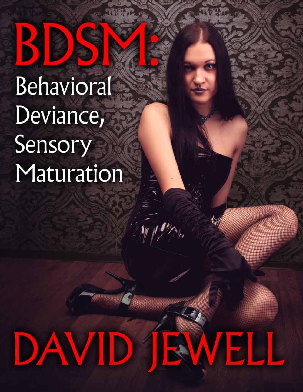 Big bigCover of BDSM