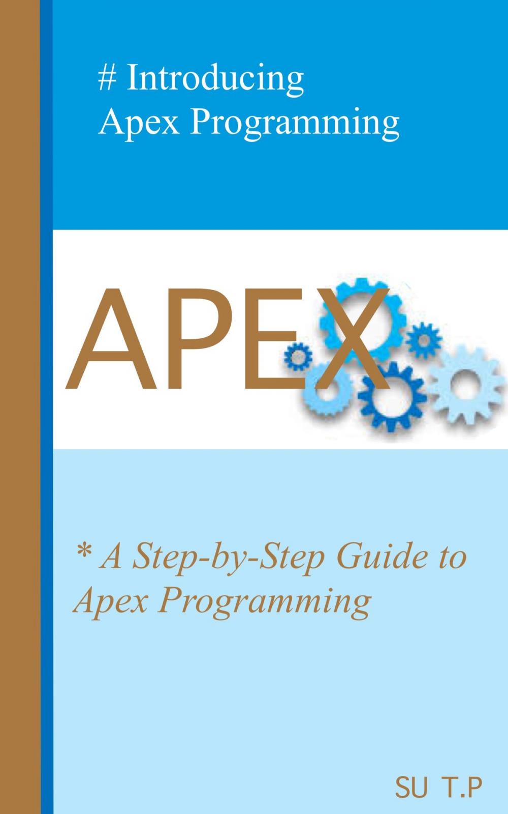 Big bigCover of Apex Programming