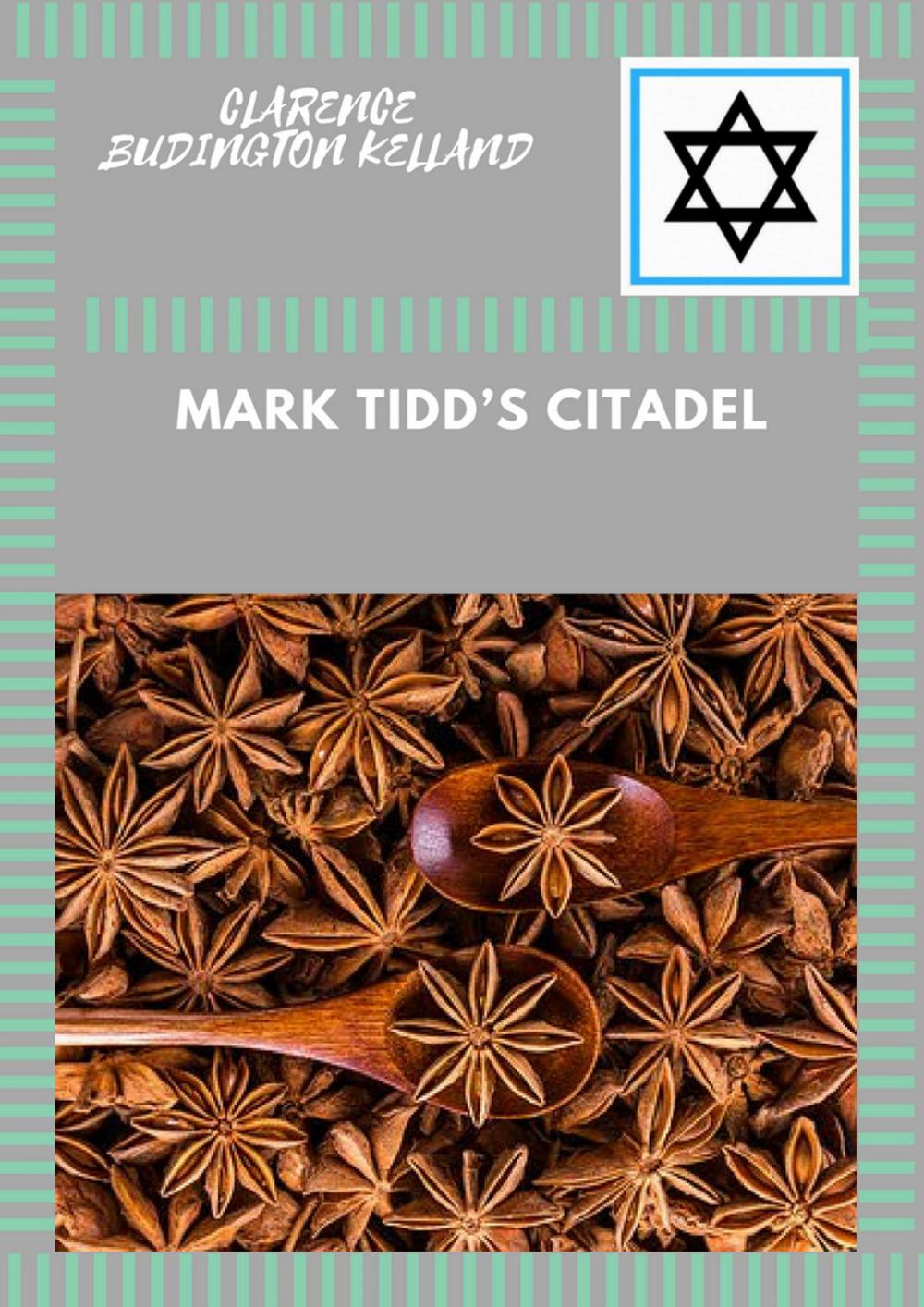 Big bigCover of Mark Tidd’s Citadel