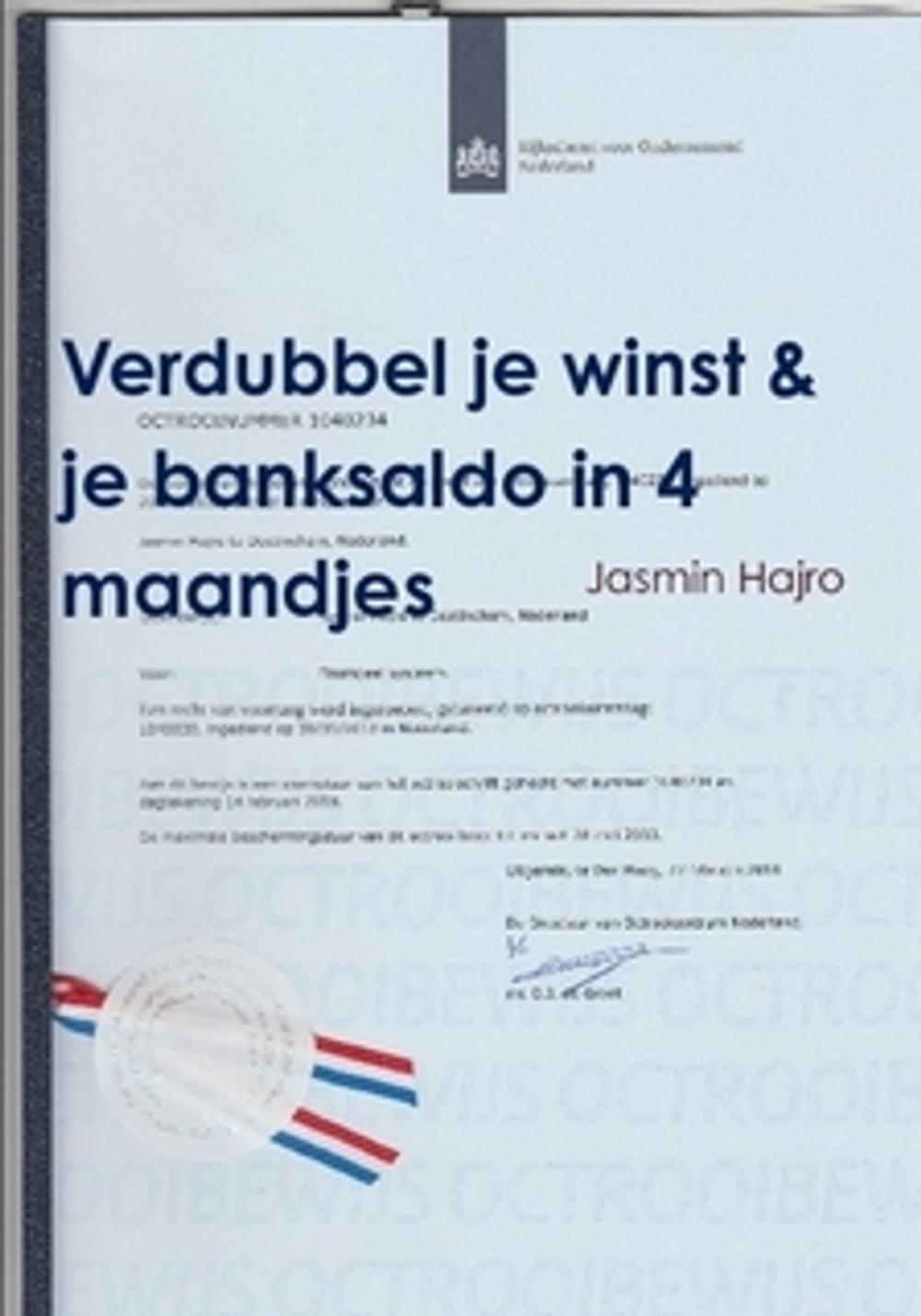 Big bigCover of Verdubbel je winst &amp; je banksaldo in 4 maandjes