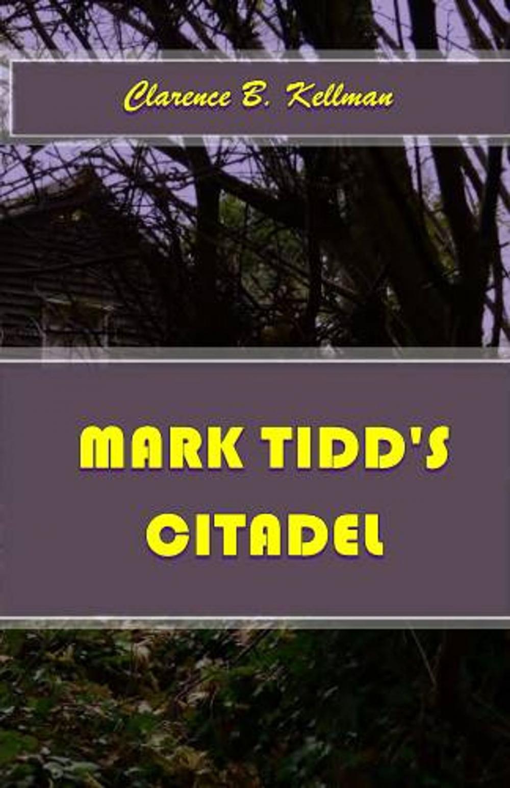 Big bigCover of Mark Tidd's Citadel