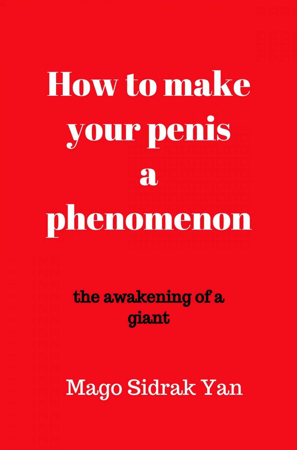 Big bigCover of How To Make Your Penis A Phenomenon