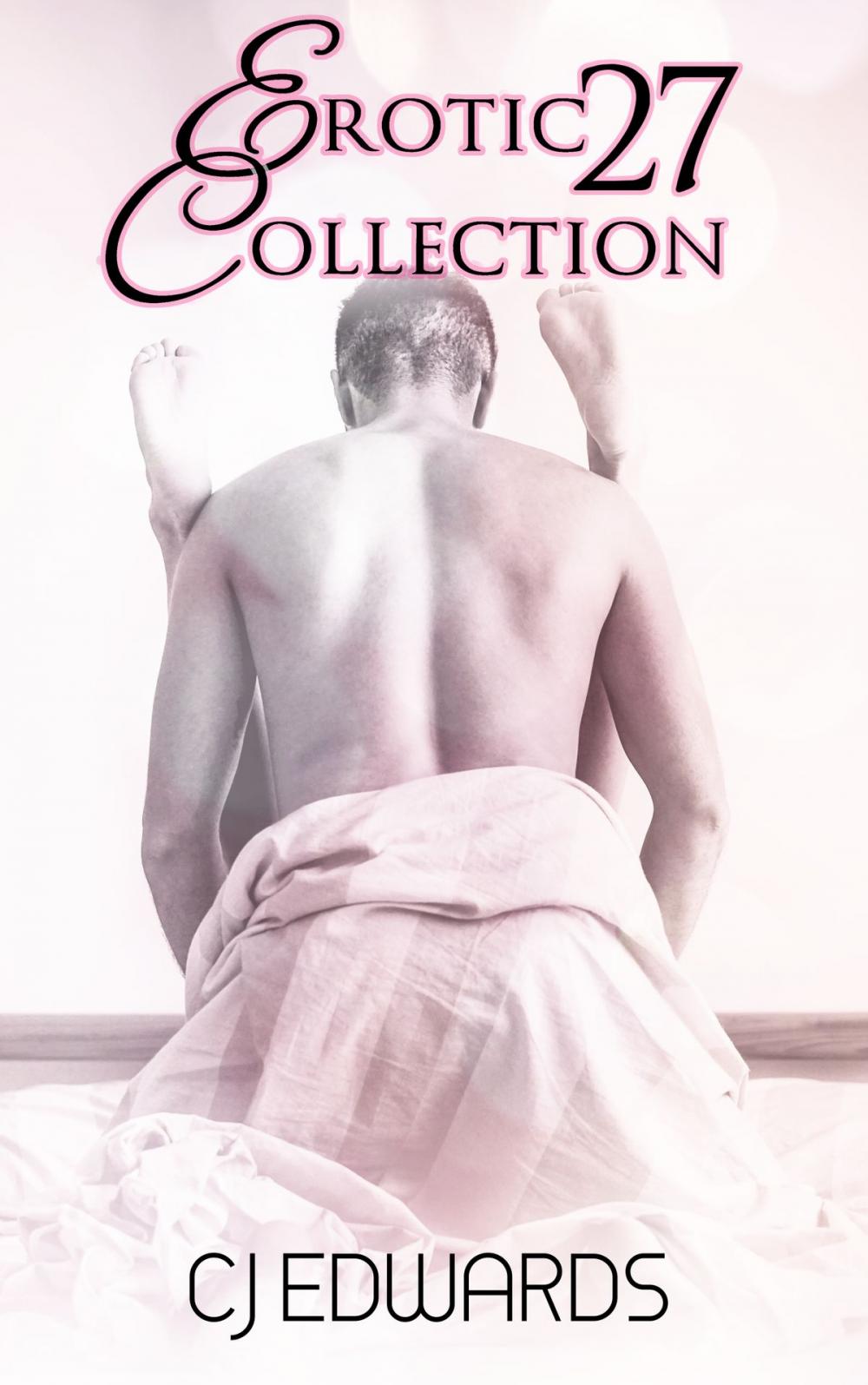 Big bigCover of Erotic Collection 27