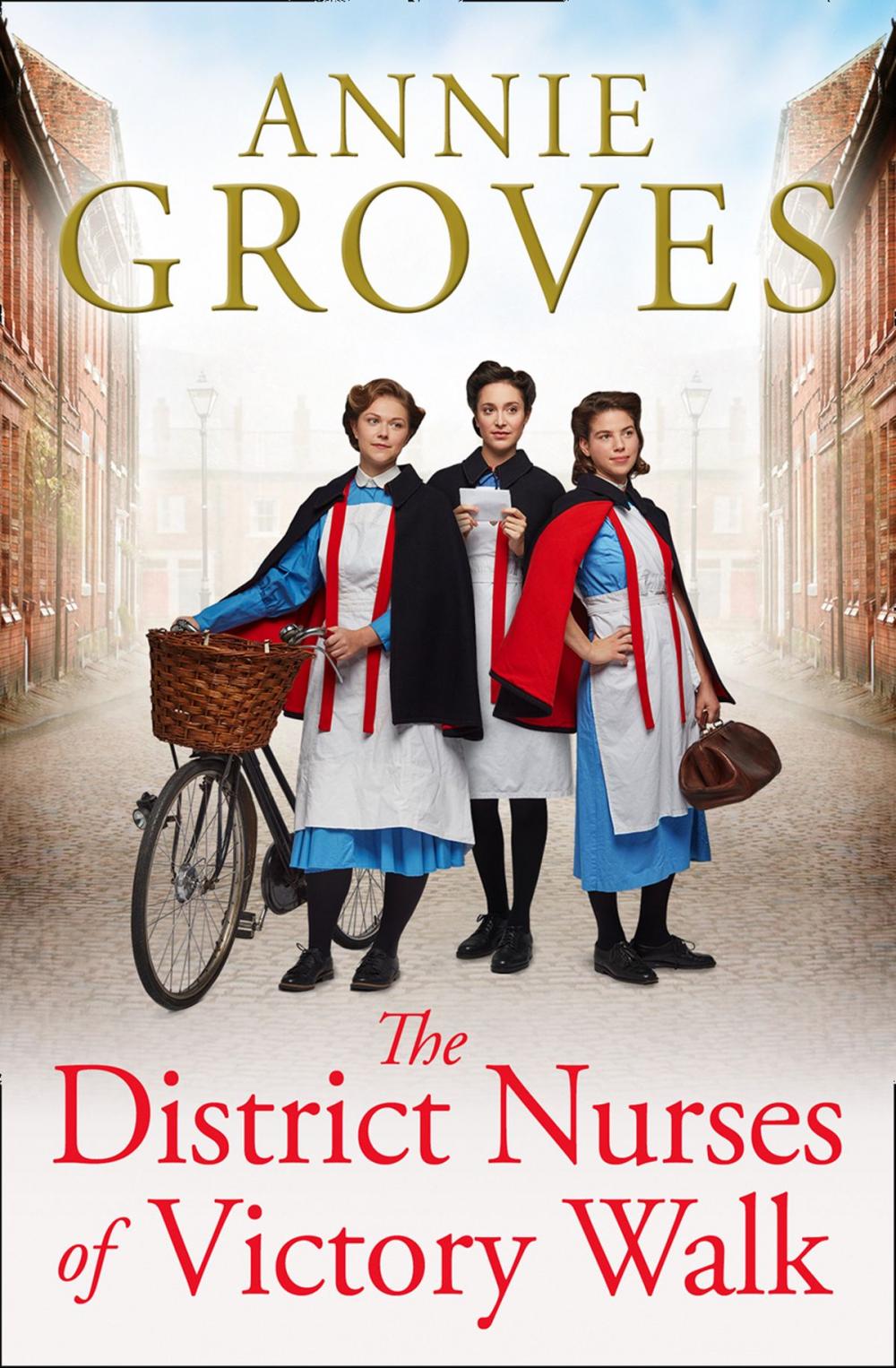 Big bigCover of The District Nurses of Victory Walk (The District Nurse, Book 1)