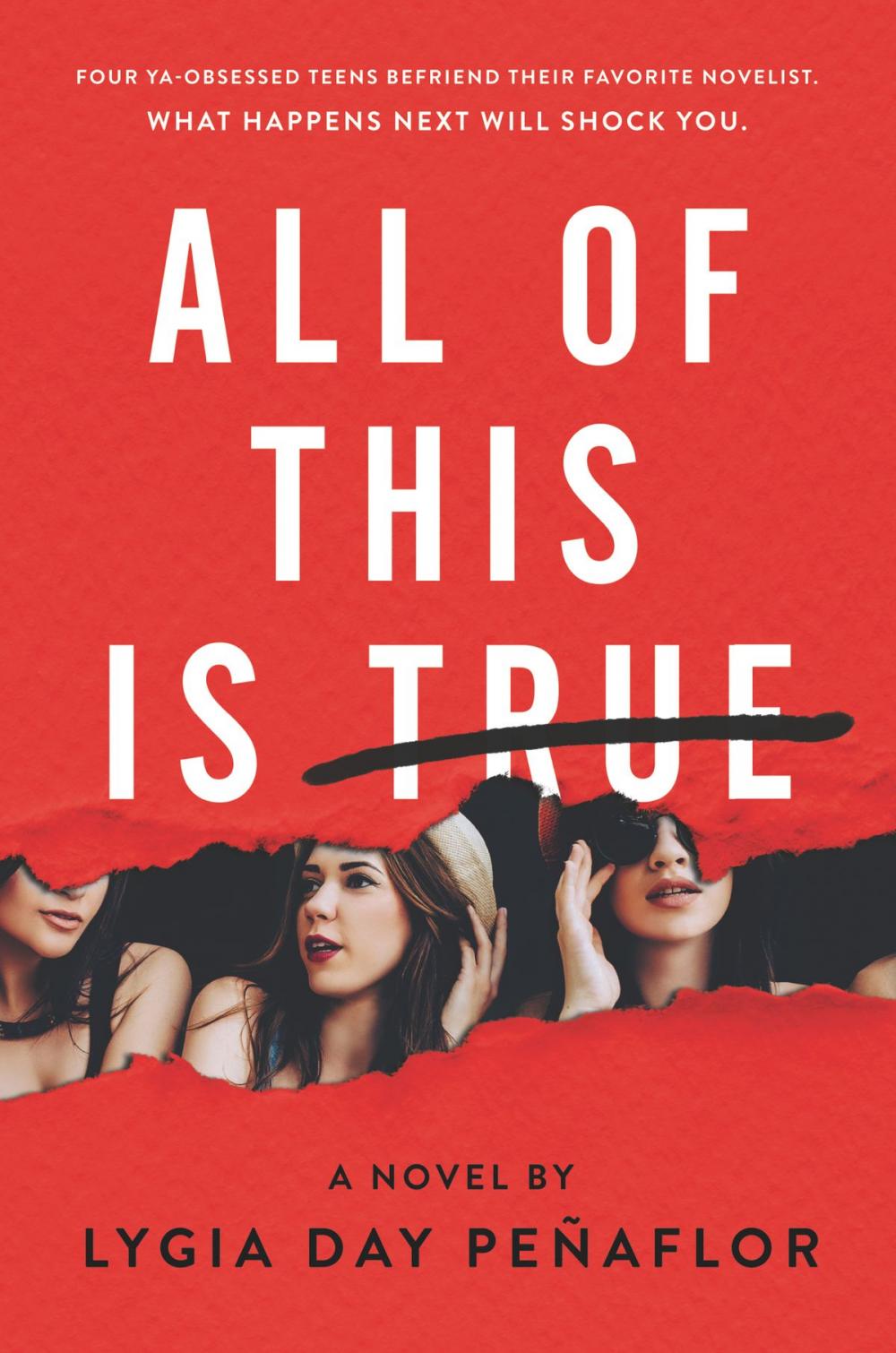 Big bigCover of All of This Is True: A Novel