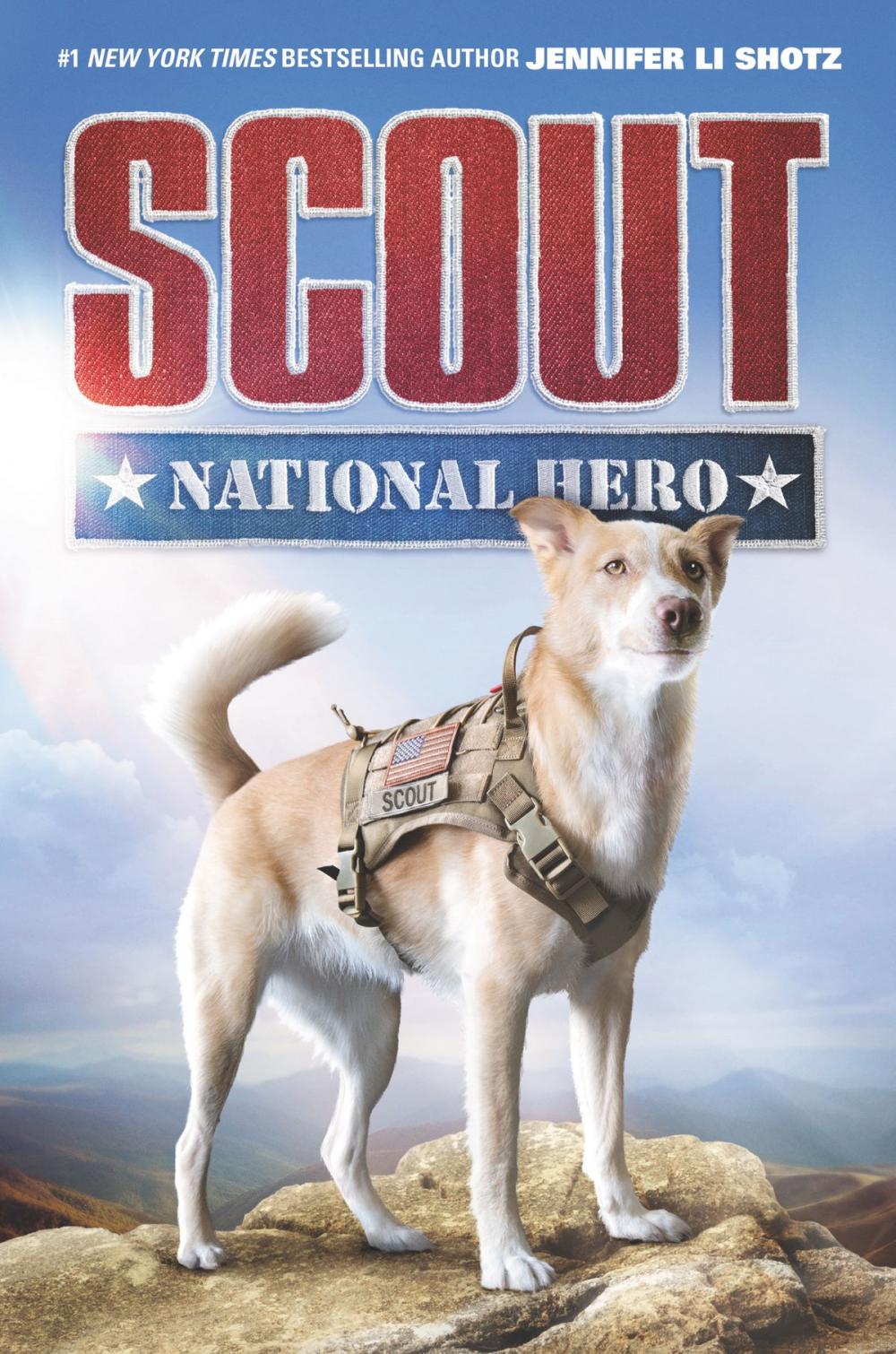 Big bigCover of Scout: National Hero