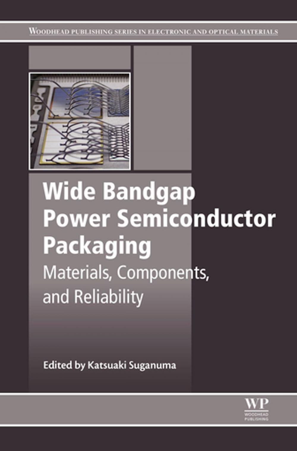 Big bigCover of Wide Bandgap Power Semiconductor Packaging