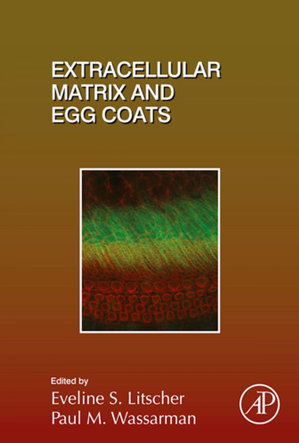 Big bigCover of Extracellular Matrix and Egg Coats