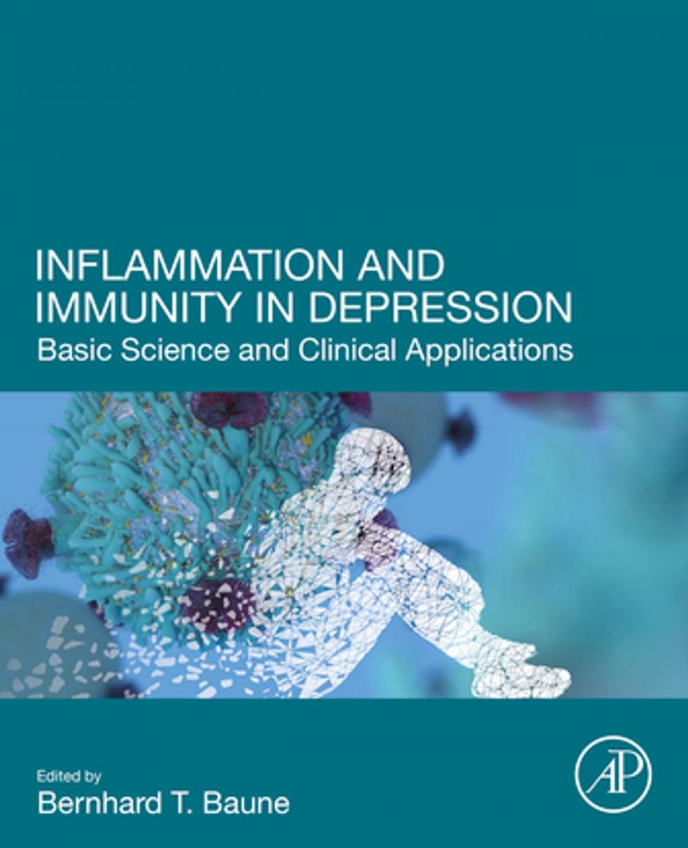 Big bigCover of Inflammation and Immunity in Depression