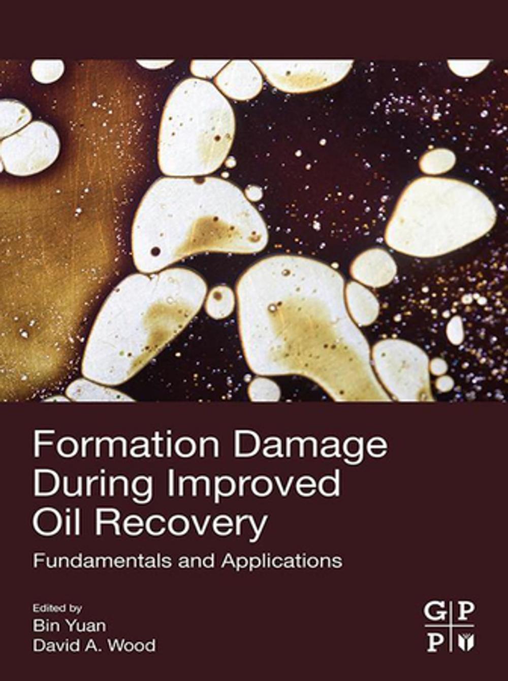 Big bigCover of Formation Damage during Improved Oil Recovery