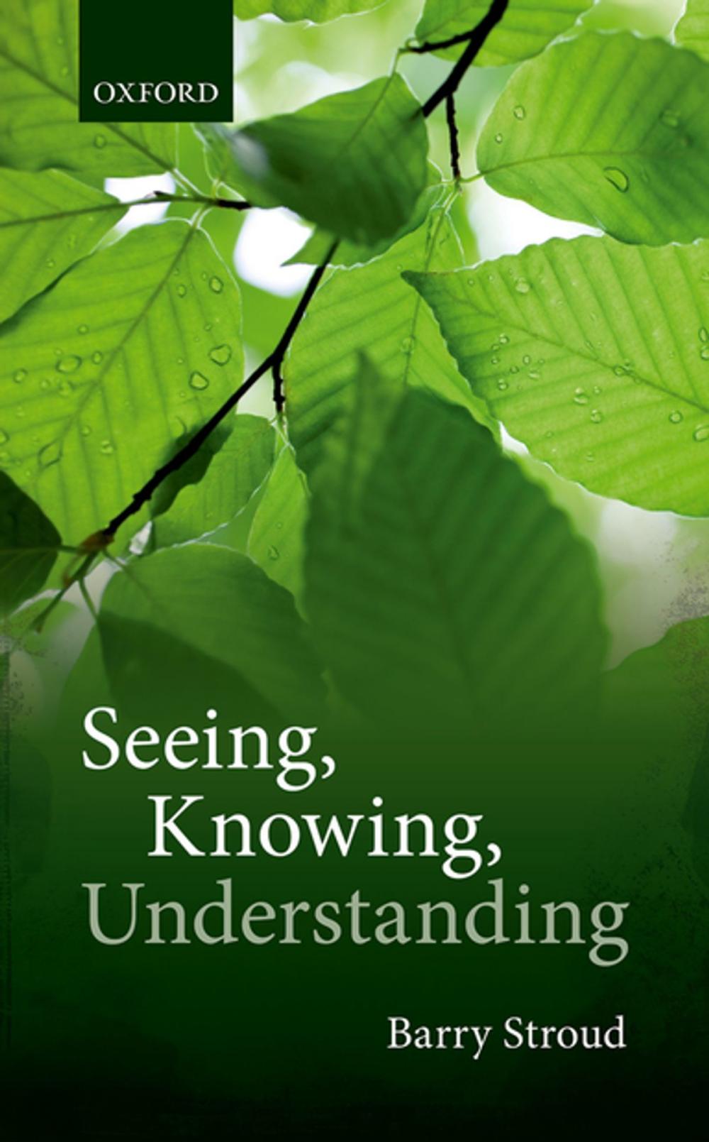 Big bigCover of Seeing, Knowing, Understanding