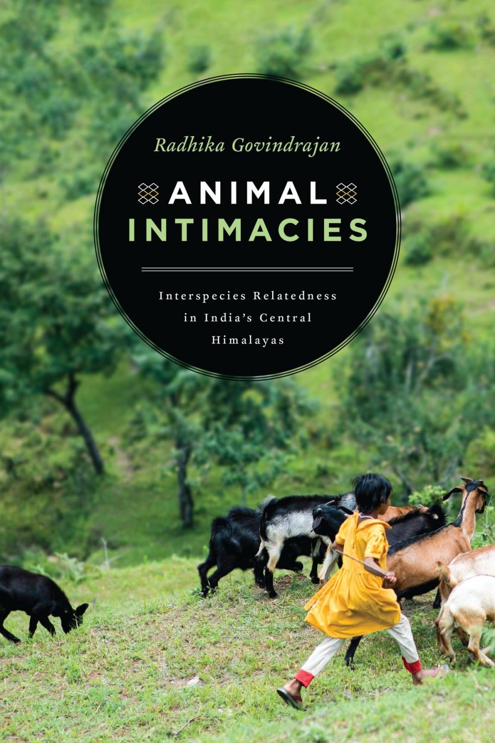 Big bigCover of Animal Intimacies