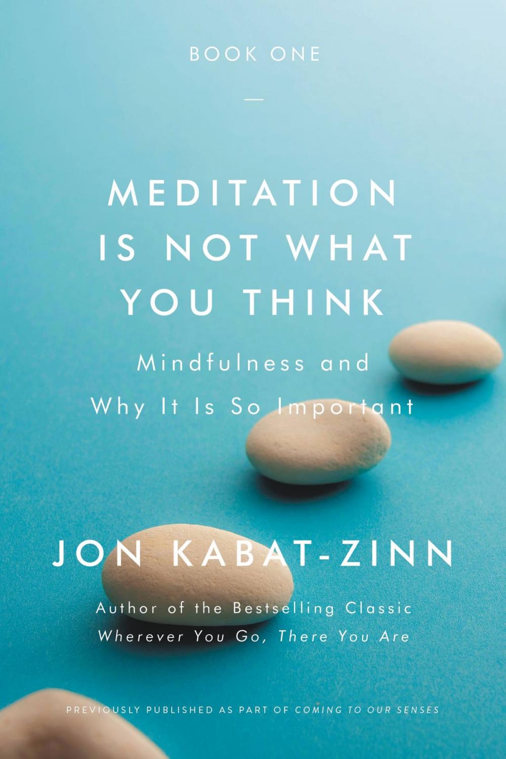 Big bigCover of Meditation Is Not What You Think