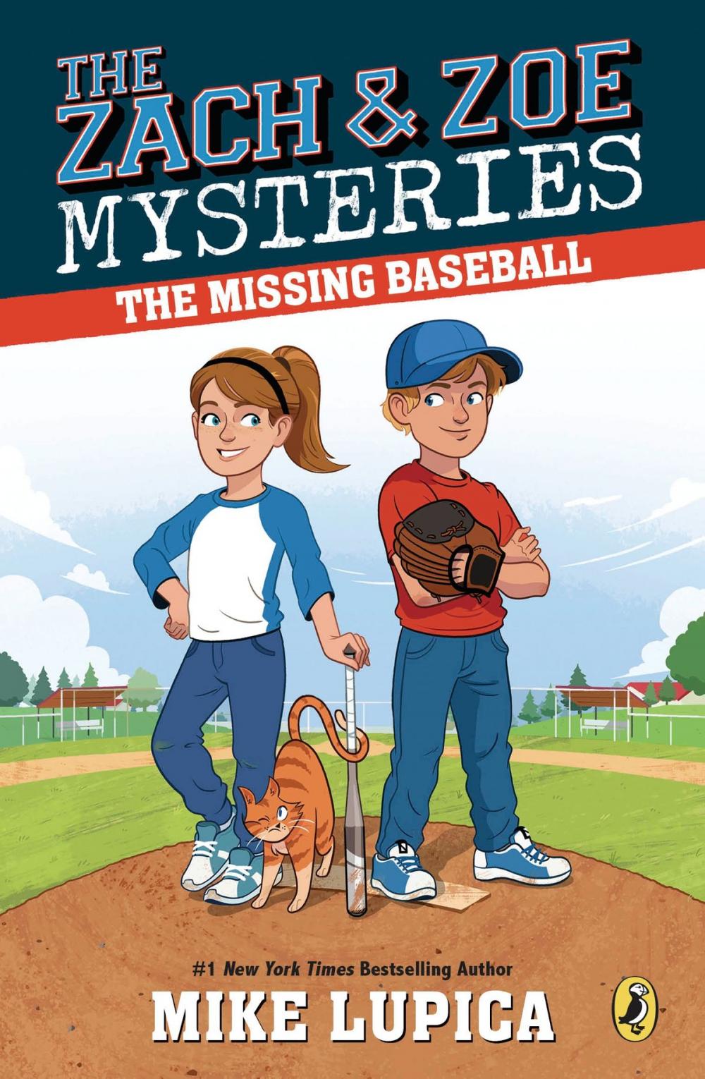 Big bigCover of The Missing Baseball