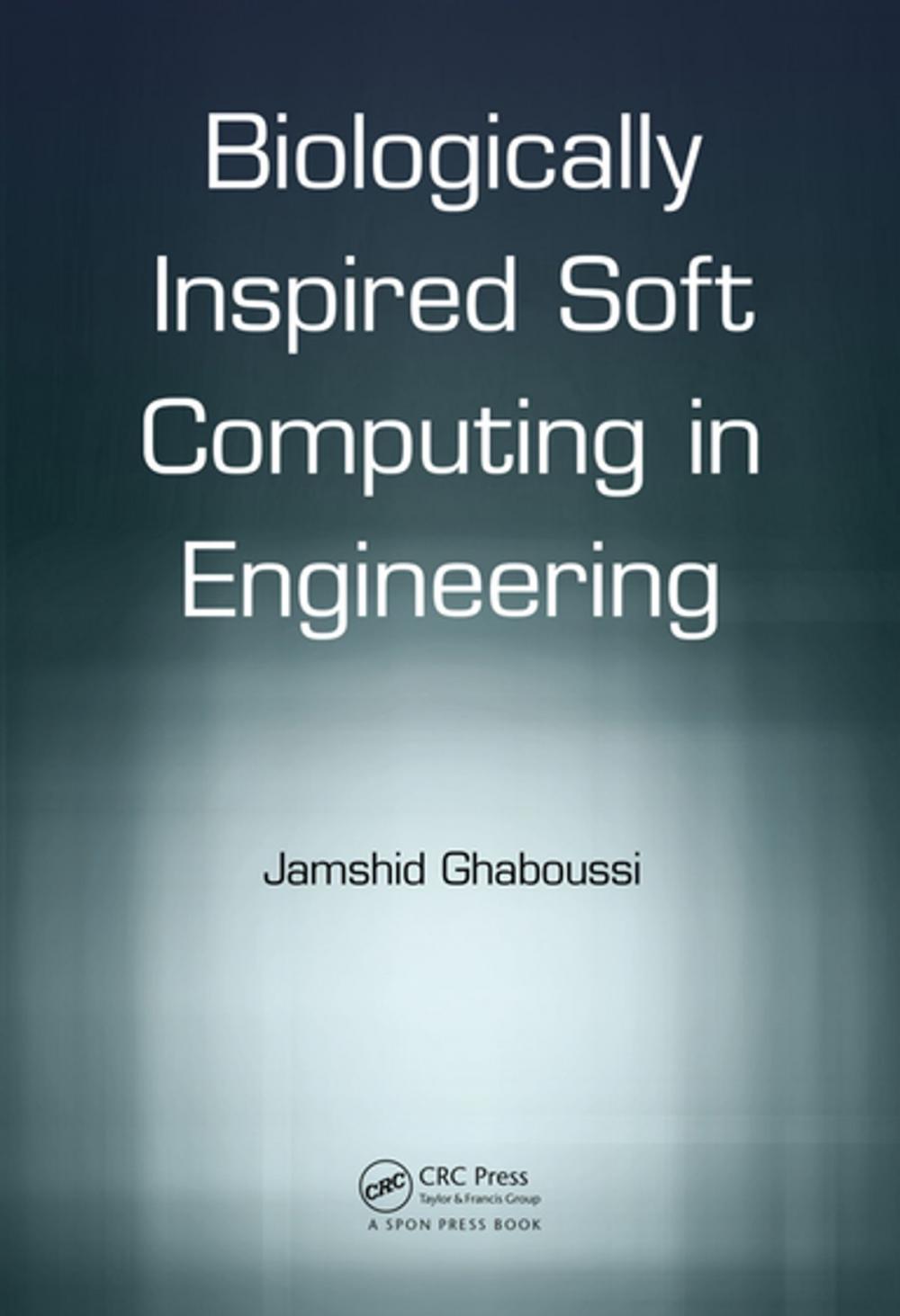 Big bigCover of Soft Computing in Engineering