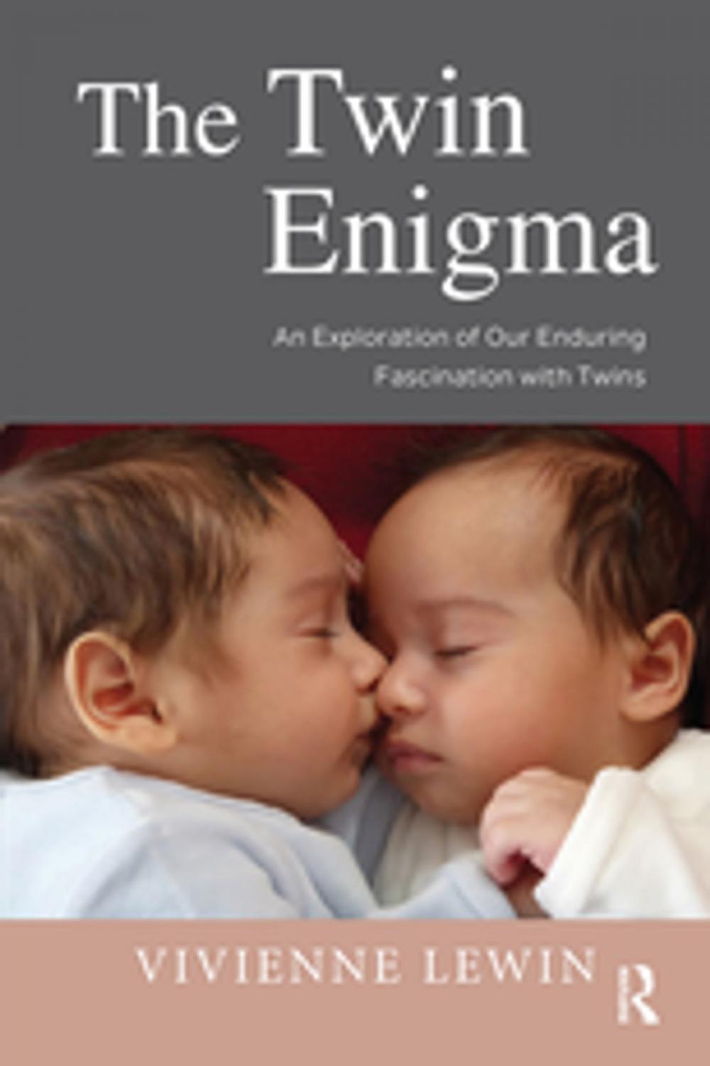 Big bigCover of The Twin Enigma