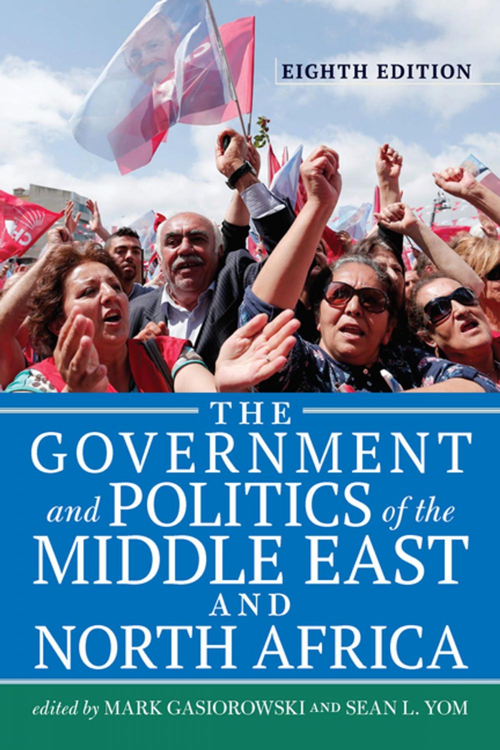 Big bigCover of The Government and Politics of the Middle East and North Africa