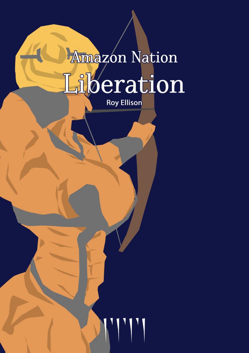 Big bigCover of Amazon Nation: The Liberation