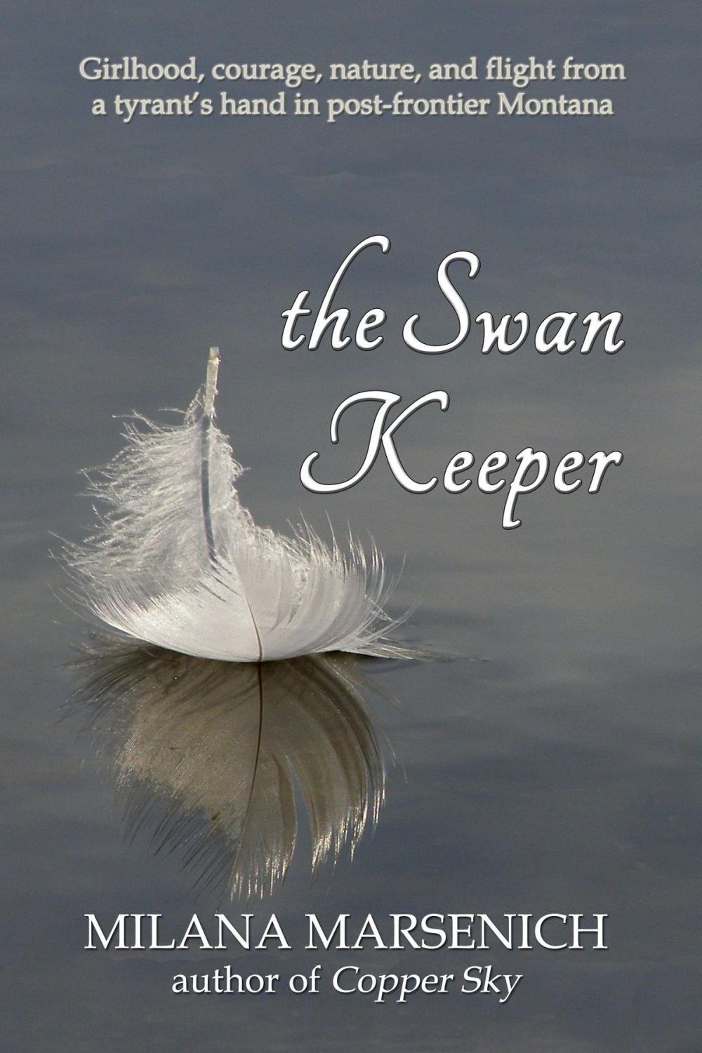 Big bigCover of The Swan Keeper