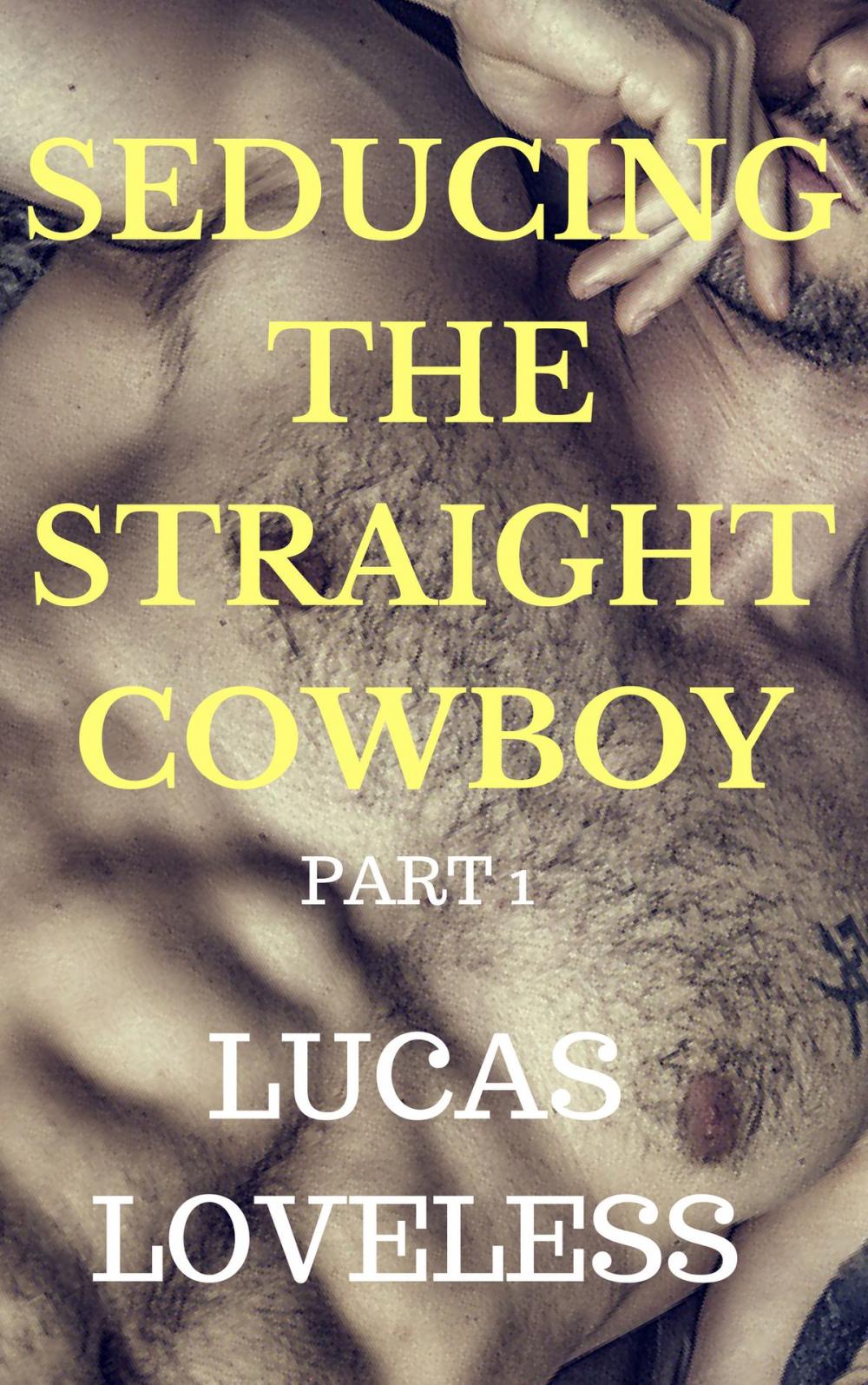 Big bigCover of Seducing the Straight Cowboy: Part 1