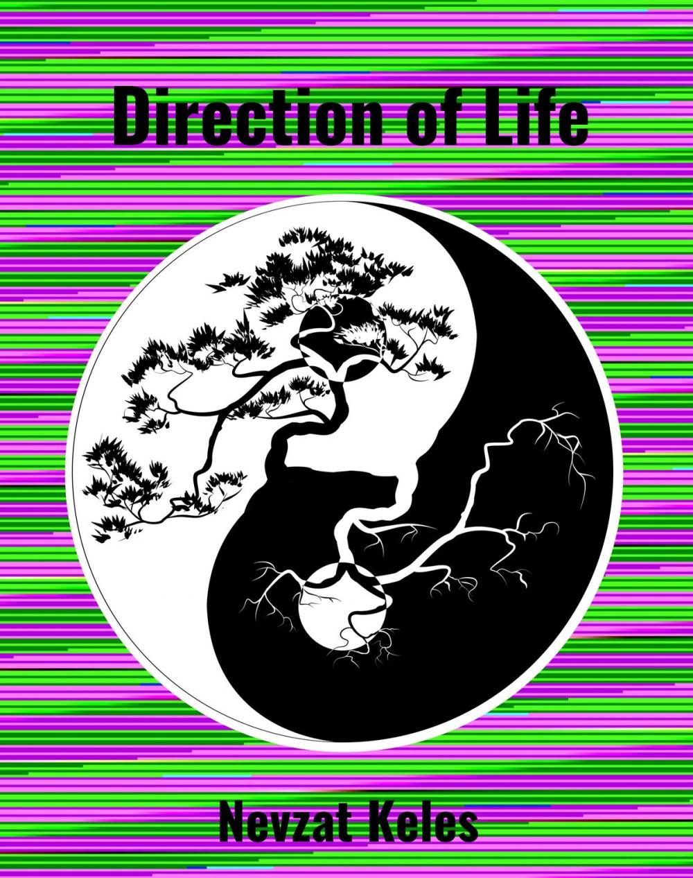 Big bigCover of Direction of Life