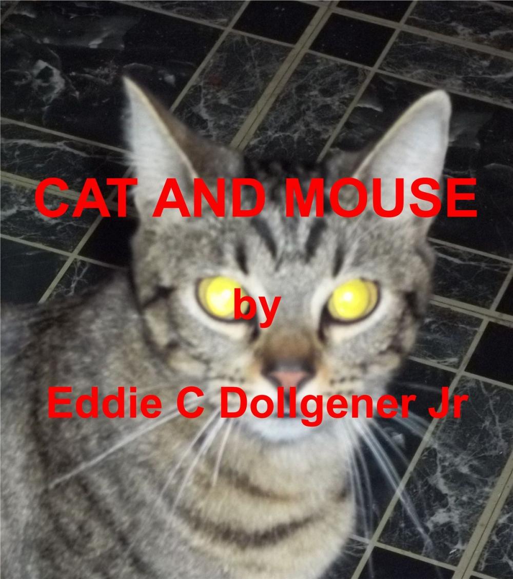 Big bigCover of Cat and Mouse