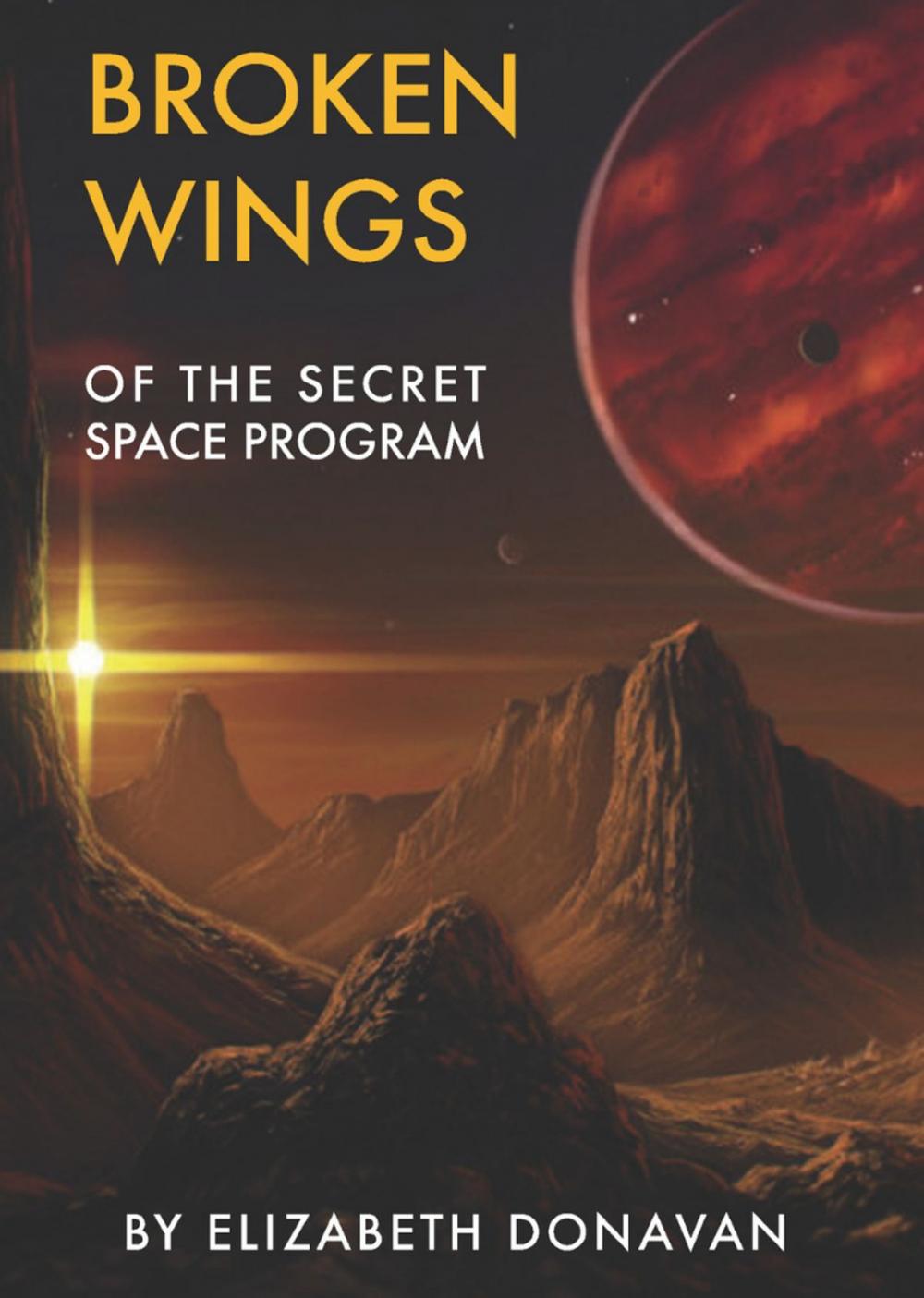 Big bigCover of Broken Wings of the Secret Space Program