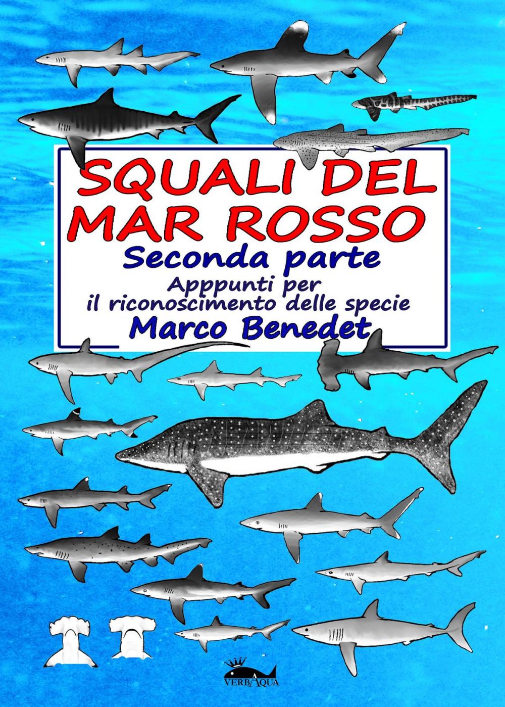 Big bigCover of Squali del Mar Rosso: 2a parte Le specie