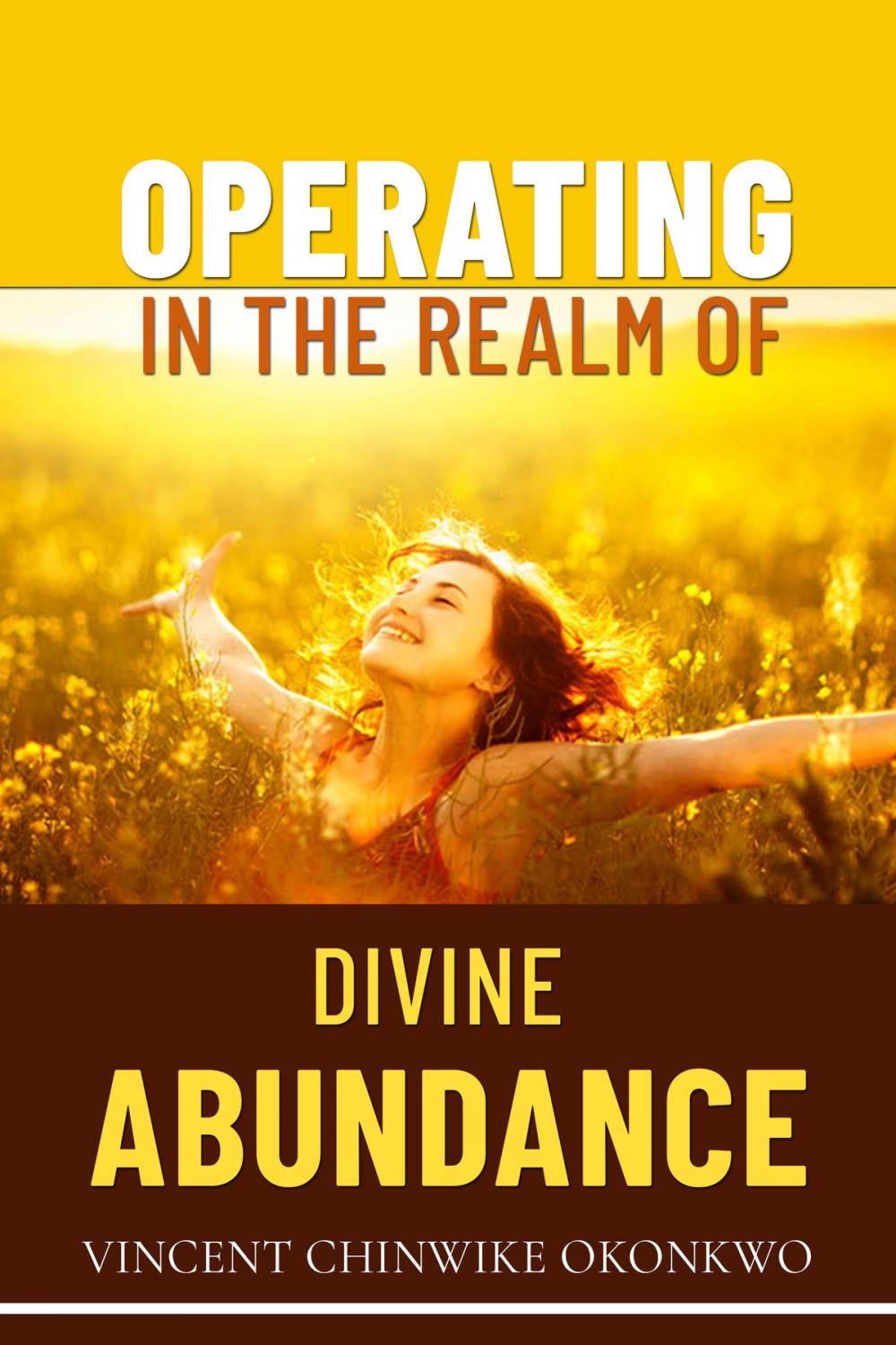 Big bigCover of Operating in the Realm of Divine Abundance